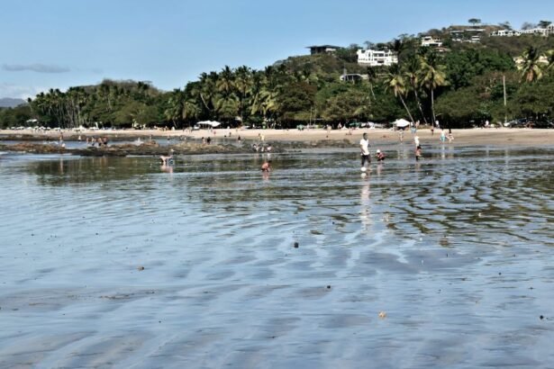 Tamarindo is a a small beach town on the coast of the Pacific Ocean in the Guanacaste Province of Costa Rica.