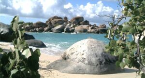 The Baths is a beach area on the island of Virgin Gorda in the British Virgin Islands archipelago in the West Indies, in the Caribbean.
