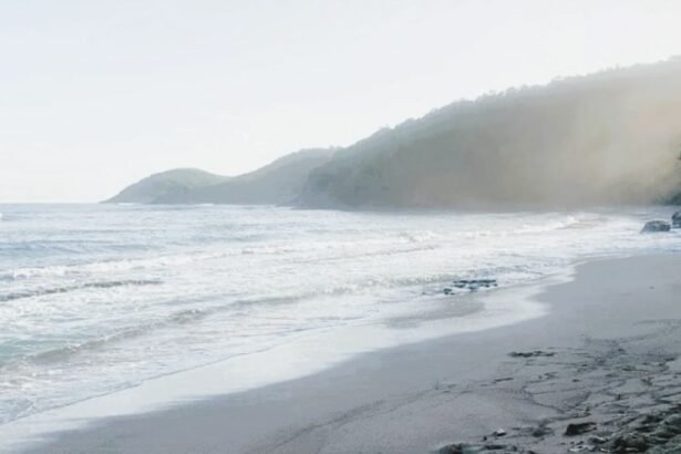 Anse Bonneville beach located between the village of Tartane and Château Dubuc on the Caravelle peninsula, on the east coast of Martinique.