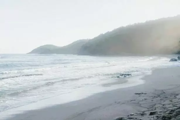 Anse Bonneville beach located between the village of Tartane and Château Dubuc on the Caravelle peninsula, on the east coast of Martinique.