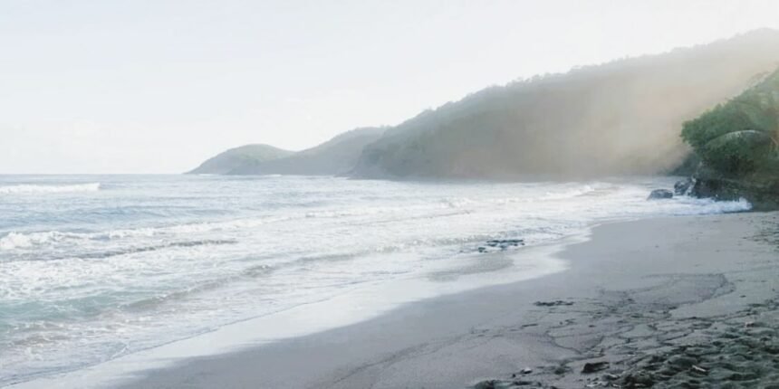 Anse Bonneville beach located between the village of Tartane and Château Dubuc on the Caravelle peninsula, on the east coast of Martinique.