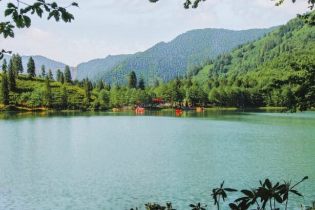 Lake Karagöl also known as the "Black Lake," located in the northwest of the Karçal Mountains ,a mountain range in the northeastern tip of Turkey.