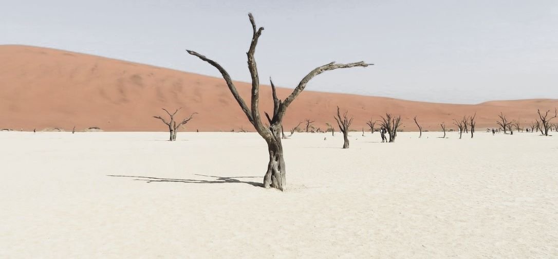 Dead Vlei is a wilderness area wich is located near the famous Sossusvlei Salt Flats in the Namib Desert, Namibia.