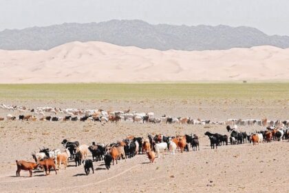 The Gobi Desert, is a large dry area in Central Asia, Mongolia and the People's Republic of China.