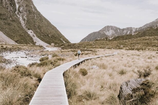 The Hooker Valley Track is a 5 kilometres walking track within the Aoraki / Mount Cook National Park on the South Island of New Zealand.