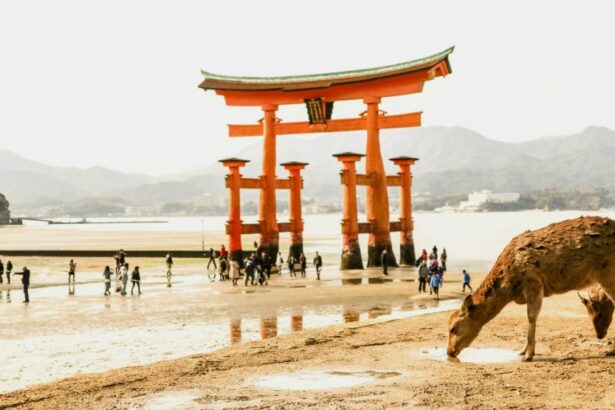 Itsukushima Shrine is a Shinto shrine on the island of Itsukushima , in Hiroshima Prefecture in Japan.