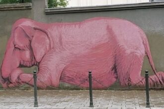 The Pink Elephant is a street art mural , located on E. Ožeškienė street in historical center of Kaunas , a city in south-central Lithuania.