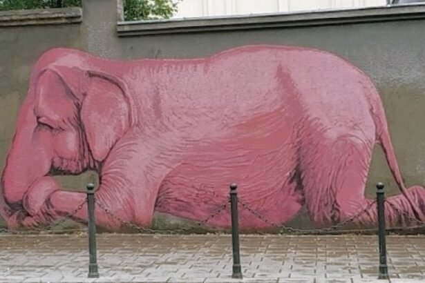 The Pink Elephant is a street art mural , located on E. Ožeškienė street in historical center of Kaunas , a city in south-central Lithuania.