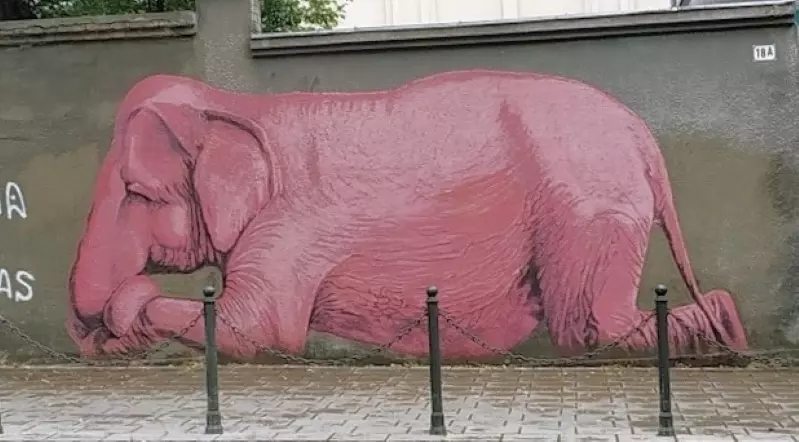 The Pink Elephant is a street art mural , located on E. Ožeškienė street in historical center of Kaunas , a city in south-central Lithuania.