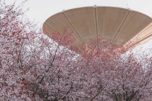 Roihuvuori Cherry Park ,is a park in the Roihuvuori section of the Herttoniemi district of Helsinki, Finland.