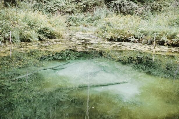 Saula blue spring is a freshwater spring in the village of Saula in Kose parish, in northern Estonia.