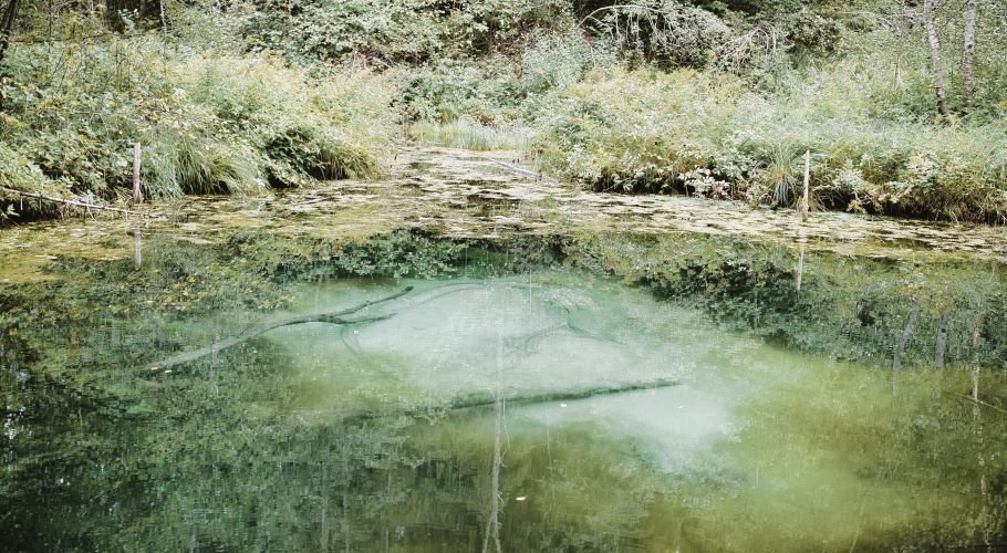 Saula blue spring is a freshwater spring in the village of Saula in Kose parish, in northern Estonia.