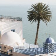 Sidi Bou Saïd is an artists' village about 20 km northeast of Tunis in northern Tunisia.