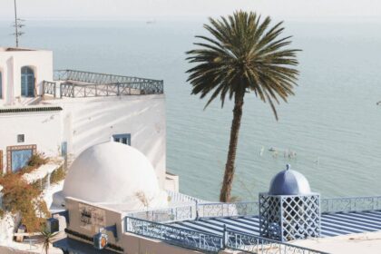 Sidi Bou Saïd is an artists' village about 20 km northeast of Tunis in northern Tunisia.
