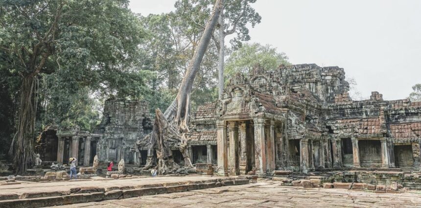 The Ta Prohm is an abandoned ancient Buddhist monastic complex near the city of Siem Reap, in Cambodia.