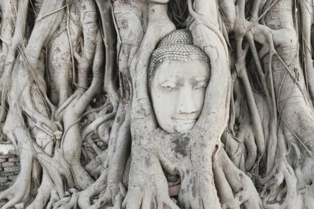 Wat Mahthat is a famous Buddhist temple complex in Ayutthaya , the capital of the Thai province of Ayutthaya in the central region of Thailand.