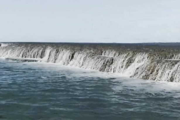 The Waterfall Reef Located off the coast of Cygnet Bay in the Dampier Peninsula , a peninsula located north of Broome and Roebuck Bay in the Kimberley region of Western Australia.