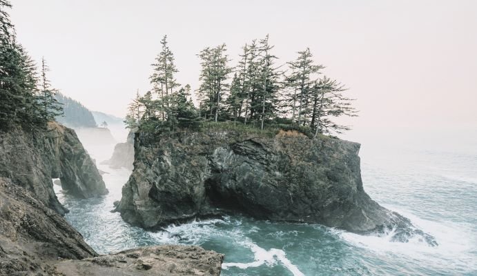Samuel H Boardman State Park is located in the county of Curry in the state of Oregon,in the United States.