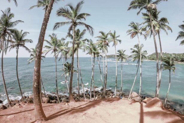 The Coconut Tree Hill located near Near Mirissa , a small coastal town in the Matara District ,on the south coast of Sri Lanka.