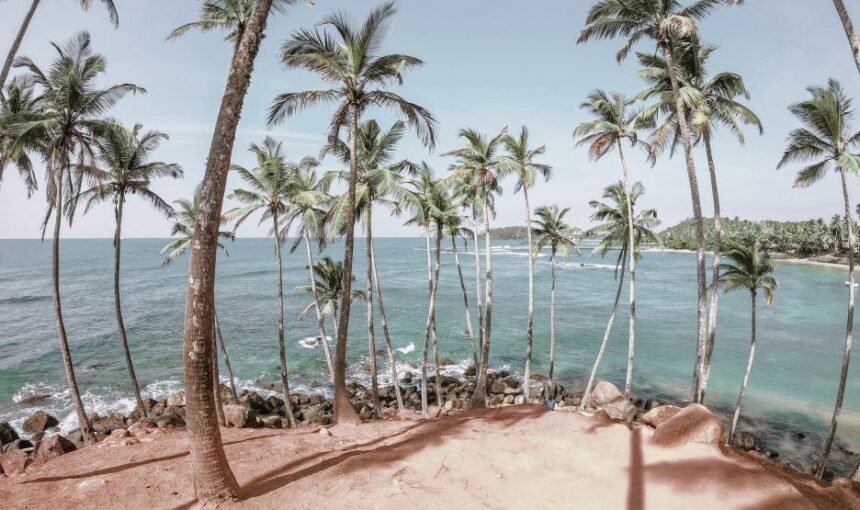 The Coconut Tree Hill located near Near Mirissa , a small coastal town in the Matara District ,on the south coast of Sri Lanka.