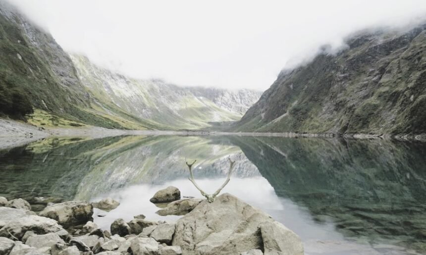 Lake Marian is a mountain lake in the Southland District of the Southland region on the South Island of New Zealand.