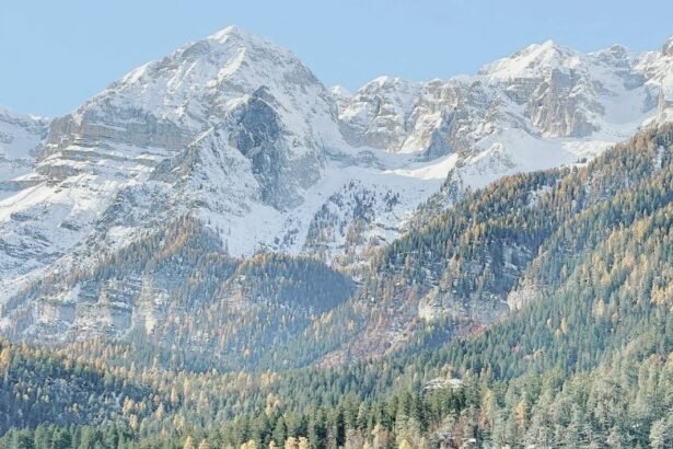 Lake Tovel (lago di Tovel) is a small alpine lake in the province of Trento, in the Italian region of Trentino-Alto Adige.