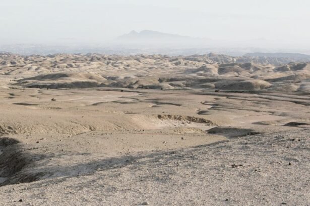 The Moon Landscape is located within a 30-minute drive from the closest town the Swakopmund ,a city on the coast of western Namibia.