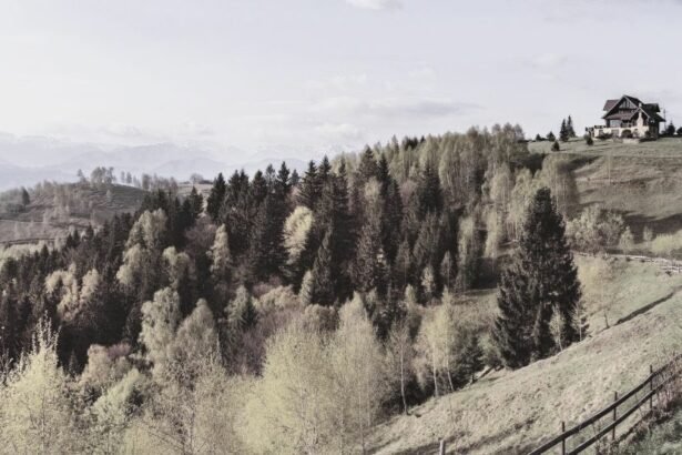 Pestera is a picturesque mountain village, situated at the border of Piatra Craiului National Park, in Brasov county, Romania.