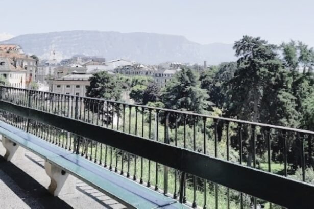 Treille’s bench located at the end of the Grand’Rue and just below the Town Hall , in Geneva, Switzerland.