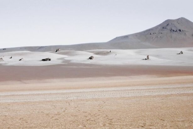The Salvador Dalí Desert also known as the Dalí Valley is a large stone desert in the Andean Fauna National Park “Eduardo Avaroa” in Bolivia.