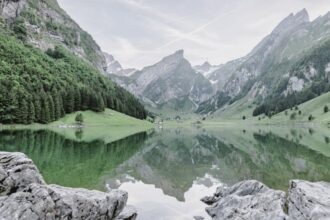 Sealpsee is an alpine lake in the territory of the commune of Schwende ,canton of Appenzell-Innerrhoden,in the Appenzell Alps in Switzerland.