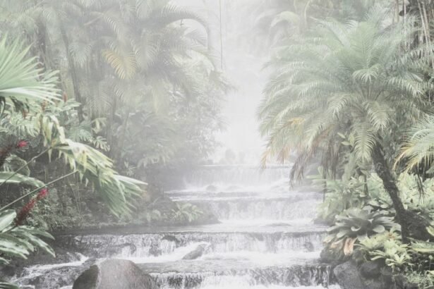 Tabacon Hot Springs is a series of thermal hot springs pools ,located 12 km northeast of La Fortuna, province of Alajuela, Costa Rica.