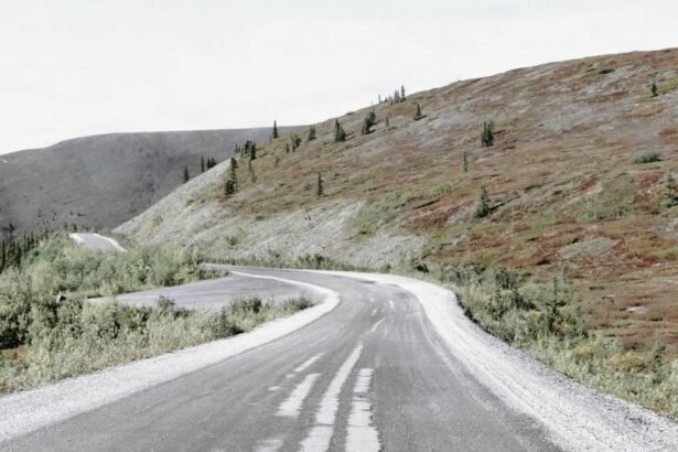 The Top of the World Highway (part of Alaska Route 9) is a highway located in the state of Alaska,United States.