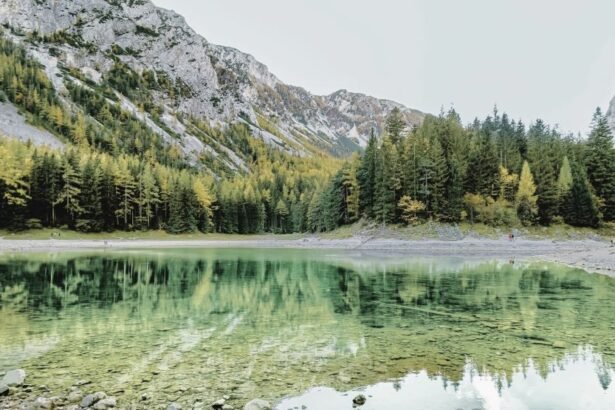 Grüner See (Green Lake) is a karst lake ,in the area of the municipality of Tragöß-Sankt Katharein in the Oberort district, in Styria, Austria.