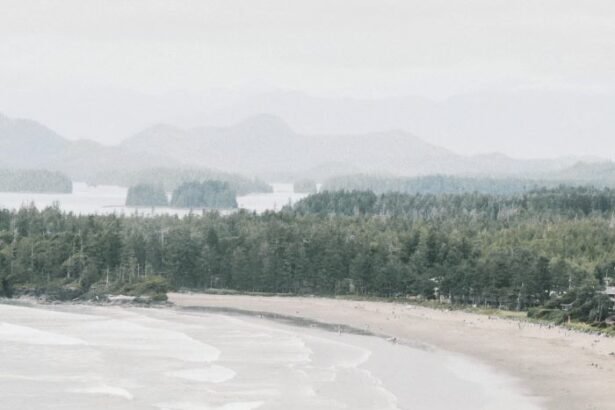 Chesterman Beach is a municipal beach located in the Tofino area on the west coast of Vancouver Island in the Canadian province of British Columbia.