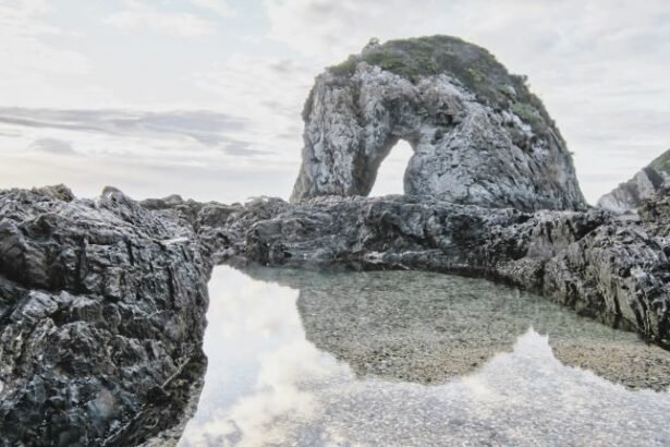 The Horse Head Rock located off the Sapphire Coast near Bermagui ,a town on the south coast of New South Wales, Australia.