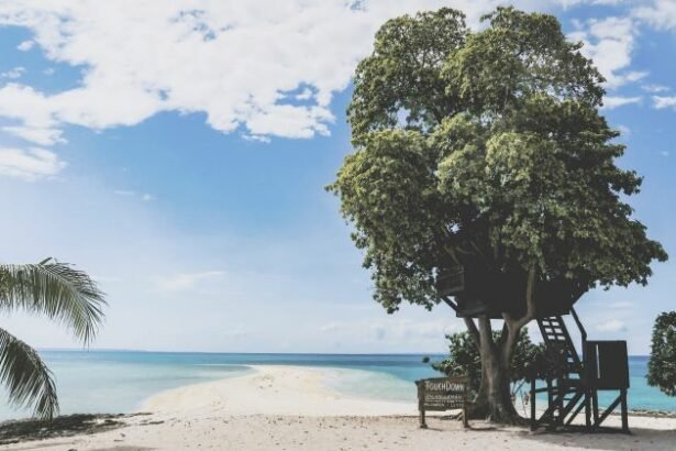 Calangaman Island is a small island in Leyte Province , in the Visayas Archipelago in the Philippines.