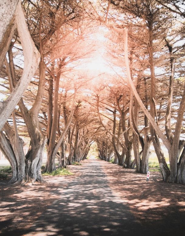 Portsea is a seaside town on the Mornington Peninsula in Melbourne, Victoria, a state in southeastern Australia.