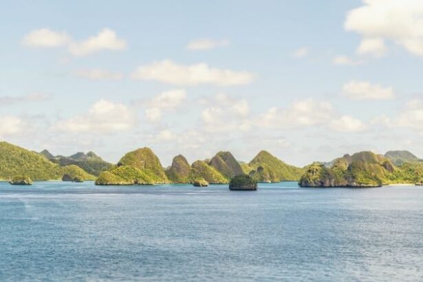The Chelbacheb Islands, also known as the Rock Islands of Palau, are an archipelago in the western Pacific and part of the island republic of Palau in the center of the Palau Islands.
