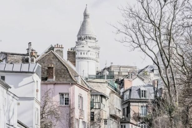 Rue de l'Abreuvoir is a street located in the Grandes-Carrières district of the 18th arrondissement of Paris ,France.
