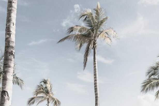 Saunders beach is a public beach located on northern shore of New Providence ,6 km east of Cable Beach in Nassau, Bahamas.