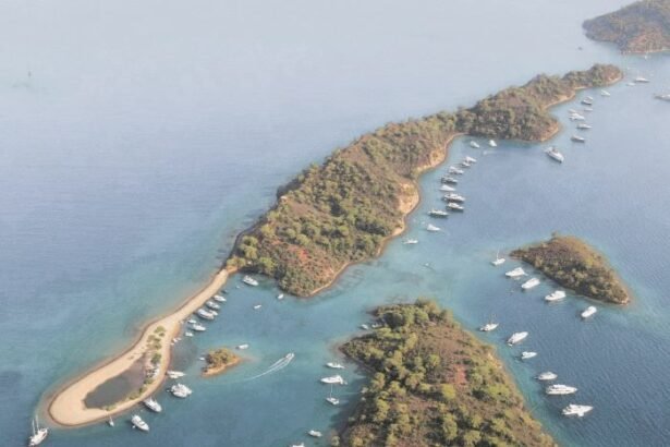 Yassica Islands are a group of five islands in the Gulf of Izmir, a gulf on the Aegean Sea, on the Mediterranean Sea in Turkey.