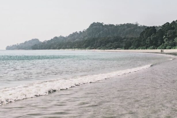 Radhanagar Beach located on the western coast of Havelock Island in Andaman Islands, an archipelago, made up of 200 islands, in the northeastern Indian Ocean.