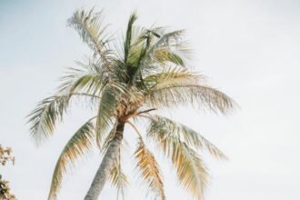 instagrammable swing photoshoot on the beach