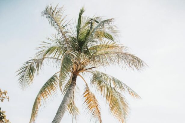instagrammable swing photoshoot on the beach
