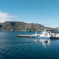 A picturesque view of a harbor featuring fishing boats, a dock, and mountains in the background under a clear blue sky.