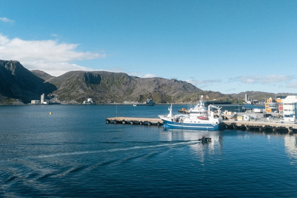 A picturesque view of a harbor featuring fishing boats, a dock, and mountains in the background under a clear blue sky.