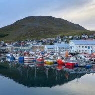 A picturesque harbor featuring colorful fishing boats and their reflections in calm water, set against a backdrop of hills and a quaint village.
