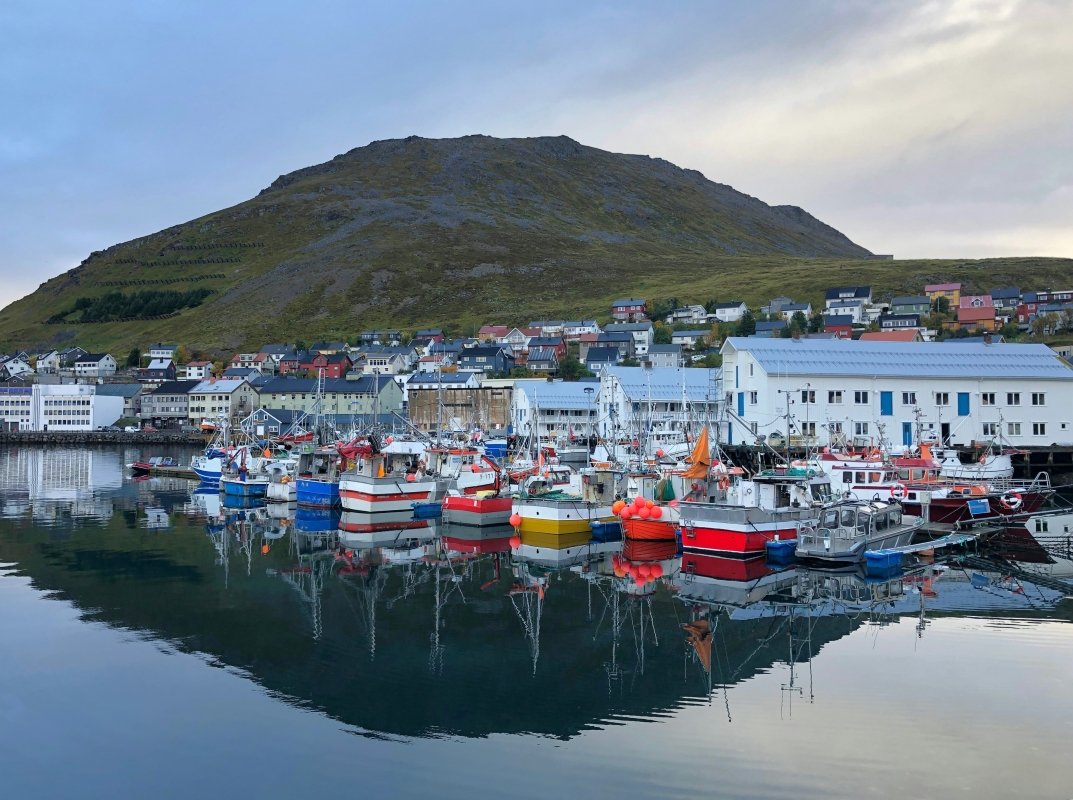 A picturesque harbor featuring colorful fishing boats and their reflections in calm water, set against a backdrop of hills and a quaint village.