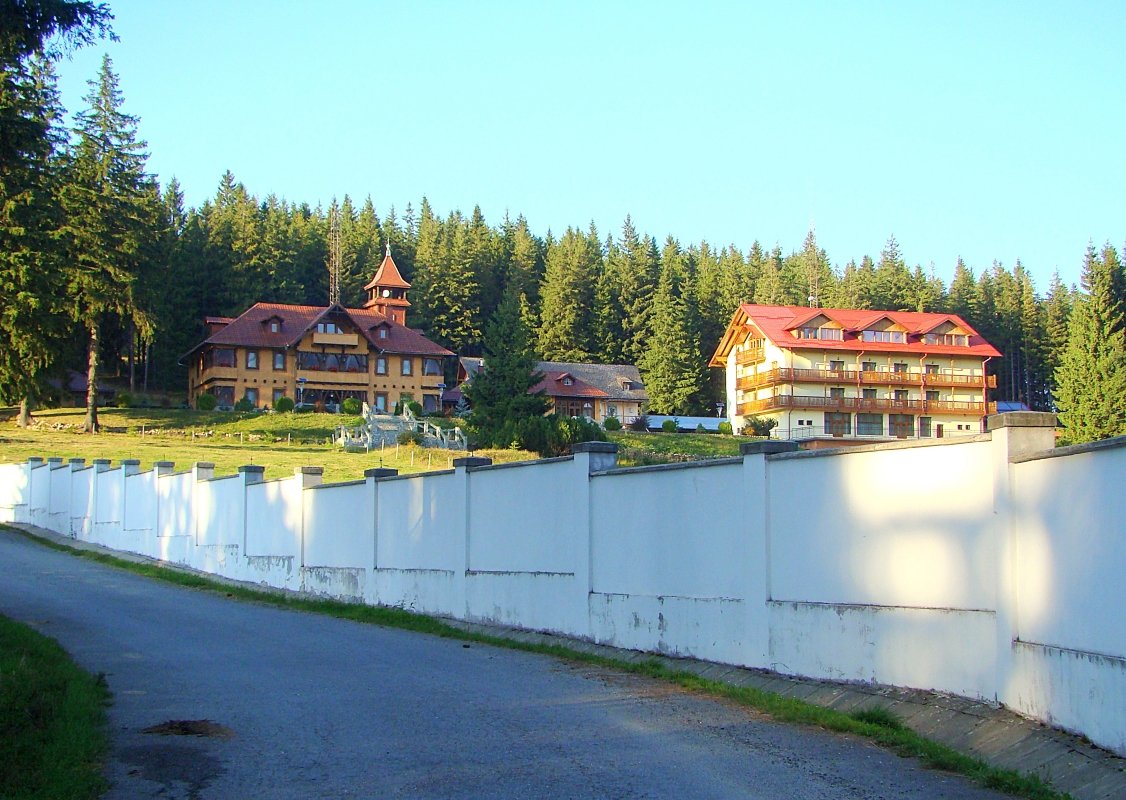 Păltiniș – The wanders